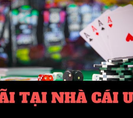 casino coi đá gà casino 🎰 trực tiếp