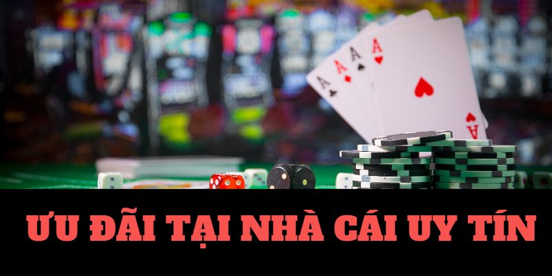 casino coi đá gà casino 🎰 trực tiếp